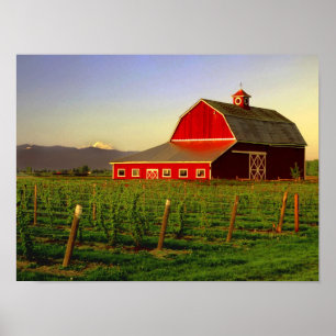 Abendsonne auf einer Scheune in Washingtons Skagit Poster