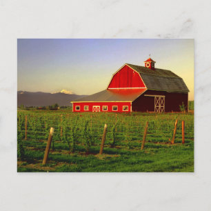 Abendsonne auf einer Scheune in Washingtons Skagit Postkarte