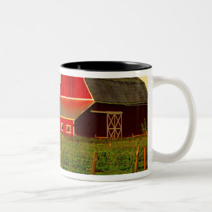 Abendsonne auf einer Scheune in Washingtons Skagit Zweifarbige Tasse