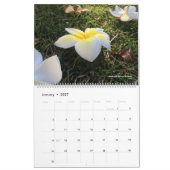 Abenteuer-Brüder: Hawaii-Kalender Kalender (Jan 2027)
