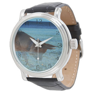 Abenteuer der deutschen Schäferhirte, Armbanduhr