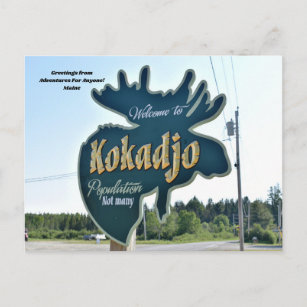 Abenteuer für jedermann Kokadjo, Maine Postcard Postkarte