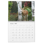 Abenteuer im Fotokalender Kalender (Jan 2027)