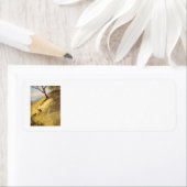 Abenteuer im Hinterhof (Insitu)