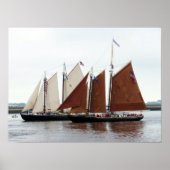 Abenteuer und Roseway Poster (Vorne)