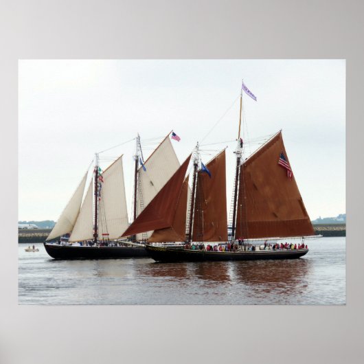 Abenteuer und Roseway Poster (Vorne)