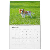 Abenteuer von Kingsley 2014 Kalender (Mär 2027)
