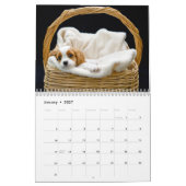 Abenteuer von Kingsley 2014 Kalender (Jan 2027)