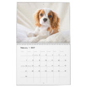 Abenteuer von Kingsley 2014 Kalender (Feb 2027)