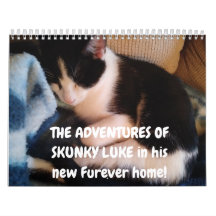 Abenteuer von Skunky Luke