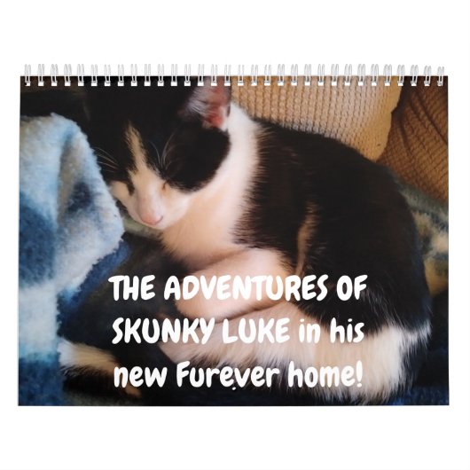 Abenteuer von Skunky Luke Kalender (Titelbild)