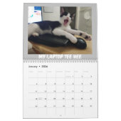 Abenteuer von Skunky Luke Kalender (Jan 2026)