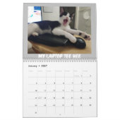 Abenteuer von Skunky Luke Kalender (Jan 2027)