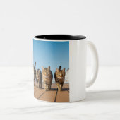Abenteuerliche Cat Cruise Tasse (VorderseiteRechts)