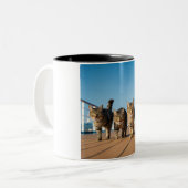 Abenteuerliche Cat Cruise Tasse (Vorderseite Links)