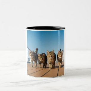 Abenteuerliche Cat Cruise Tasse