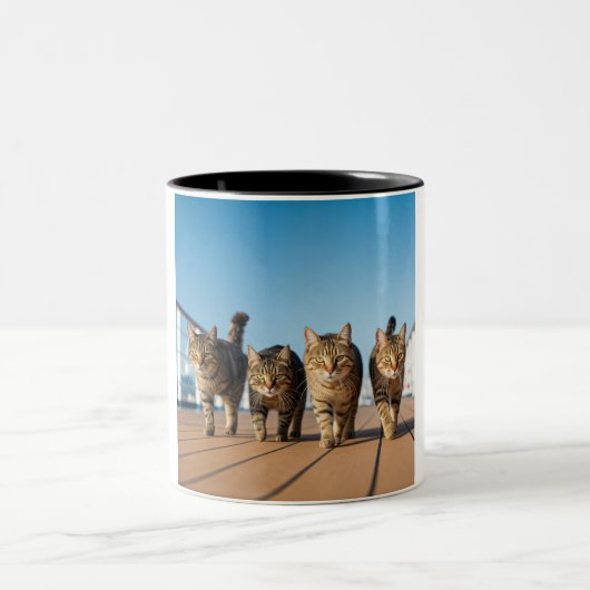Abenteuerliche Cat Cruise Tasse (Mittel)
