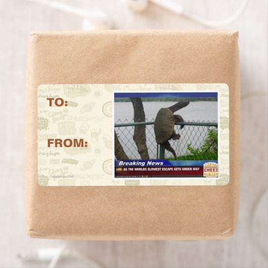 Abenteuerschildkröte (Insitu)