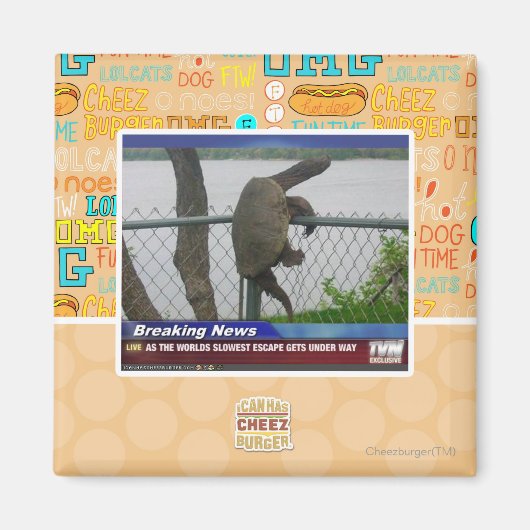 Abenteuerschildkröte Magnet (Vorne)