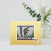 Abenteuerschildkröte Postkarte (Stehend Vorderseite)