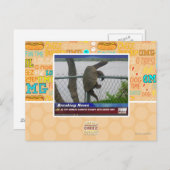 Abenteuerschildkröte Postkarte (Vorne/Hinten)