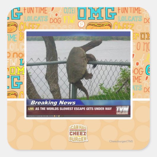 Abenteuerschildkröte Quadratischer Aufkleber (Vorderseite)