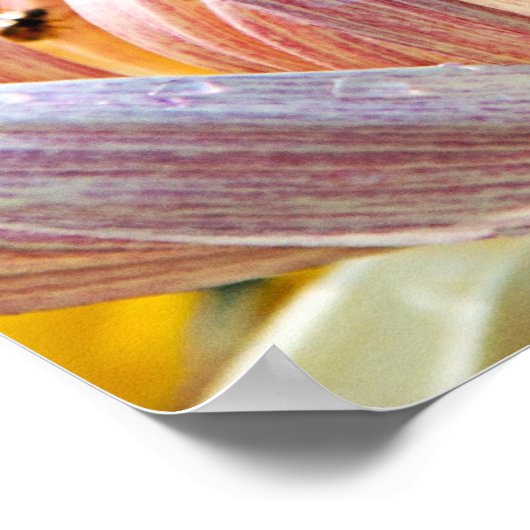 Aber die Frucht des Geistes Poster (Ecke)