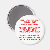 Aber es gibt kein Heilmittel für Dummkopf Magnet (Vorderseite/Rückseite)