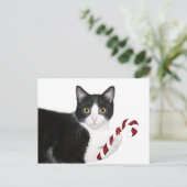 Aber ich wollte Catnip! Postkarte (Stehend Vorderseite)