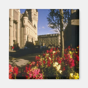Aberdeen Blume Magnet