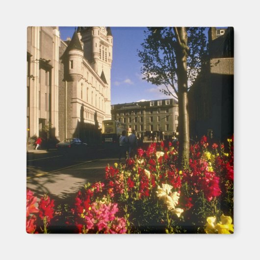 Aberdeen Blume Magnet (Vorne)