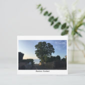 Aberdour, Schottland - Straße zum Strand Postkarte (Stehend Vorderseite)