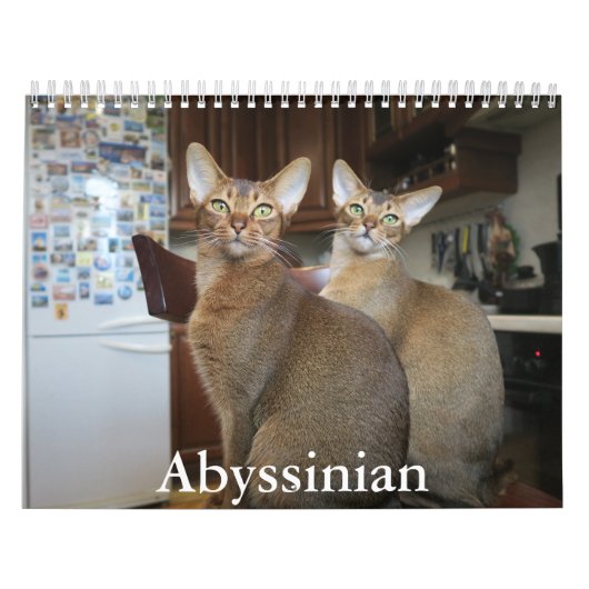 Abessiner Kalender (Titelbild)