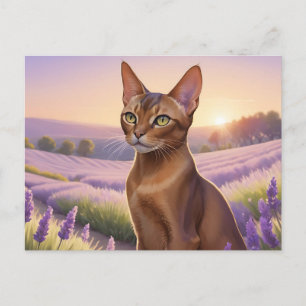 Abessinienkatze auf dem Lavenderfeld Postkarte