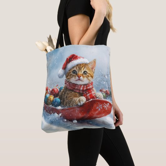 Abessinienkatze in Sledge Lass es Schnee Weihnacht Tasche (Von Nahem)