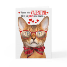 Abessinienkatze Lover Feline Spaß Valentinstag