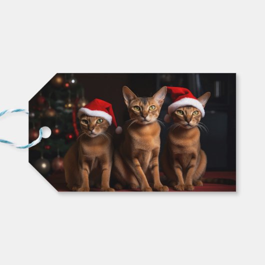 Abessinier am Feuerplatz Weihnachten Geschenkanhänger (Rückseite Horizontal)