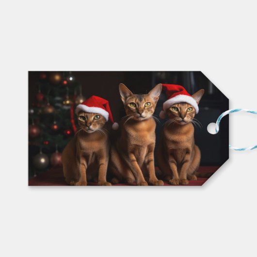 Abessinier am Feuerplatz Weihnachten Geschenkanhänger (Vorderseite (Horizontal))