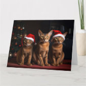 Abessinier am Feuerplatz Weihnachten Karte (Vorderseite)