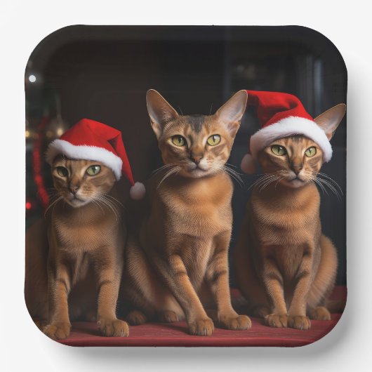 Abessinier am Feuerplatz Weihnachten Pappteller (Vorderseite)