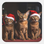 Abessinier am Feuerplatz Weihnachten Quadratischer Aufkleber (Vorderseite)