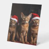 Abessinier am Feuerplatz Weihnachten Sockelschild (Vorderseite)