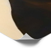 Abessinier - Cat Portrait Poster (Ecke)