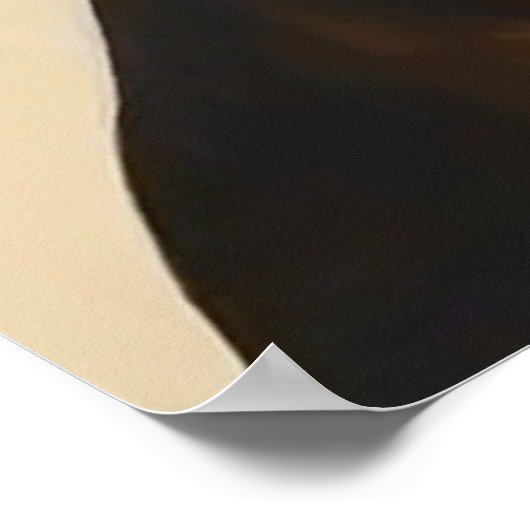 Abessinier - Cat Portrait Poster (Ecke)