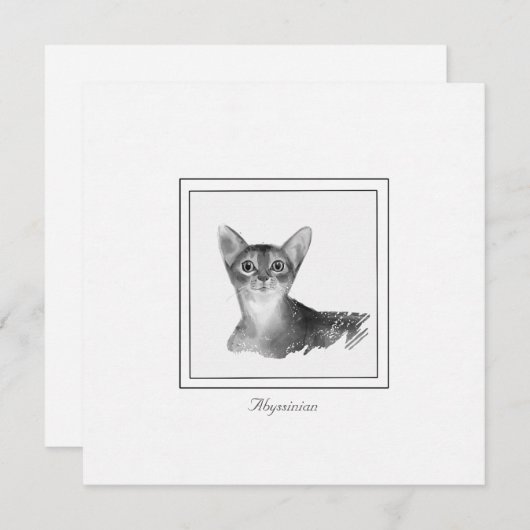 Abessinier Katze Schwarz-Weiß-Zeichn Note Card Mitteilungskarte (Vorne/Hinten)