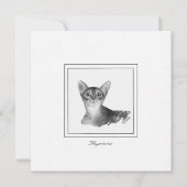 Abessinier Katze Schwarz-Weiß-Zeichn Note Card Mitteilungskarte (Vorderseite)