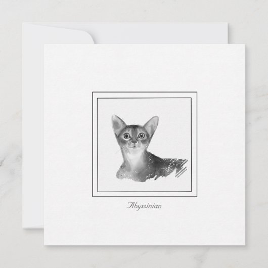 Abessinier Katze Schwarz-Weiß-Zeichn Note Card Mitteilungskarte (Vorderseite)