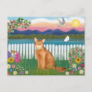 Abessinier (rot 18) - Garten-Ufer Postkarte