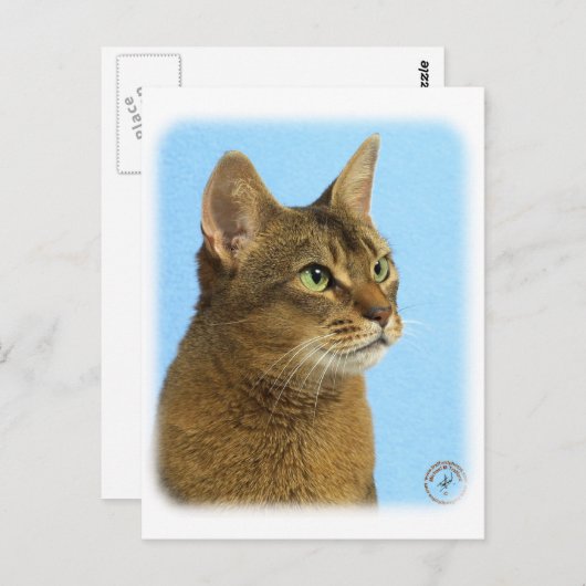 Abessinierkatze 9Y009D-032 Postkarte (Vorne/Hinten)