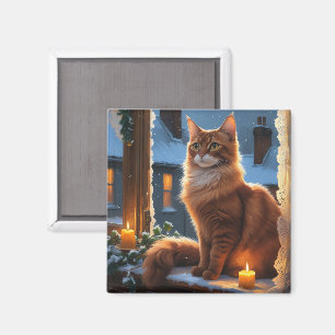 Abessinierkatze mit Weihnachtslichtern Feiertag Magnet